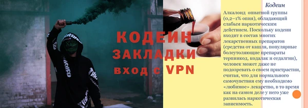 амф Няндома