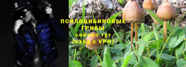 амф Няндома