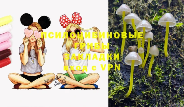 дурь Нязепетровск